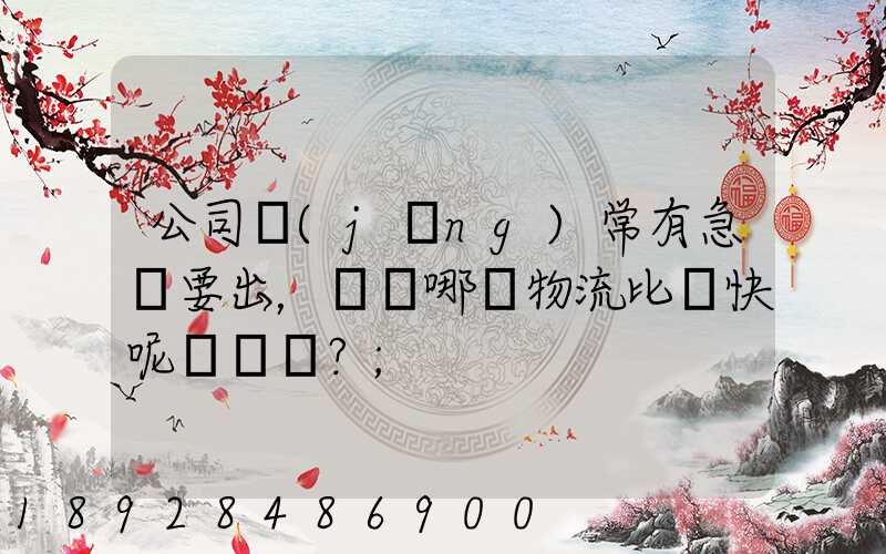 公司經(jīng)常有急貨要出，請問哪個物流比較快呢？
